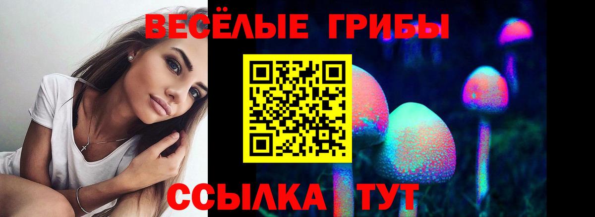 Воркута  хочу   Галлюциногенные грибы мицелий  Вход с VPN  Псилоцибиновые грибы мухоморы 