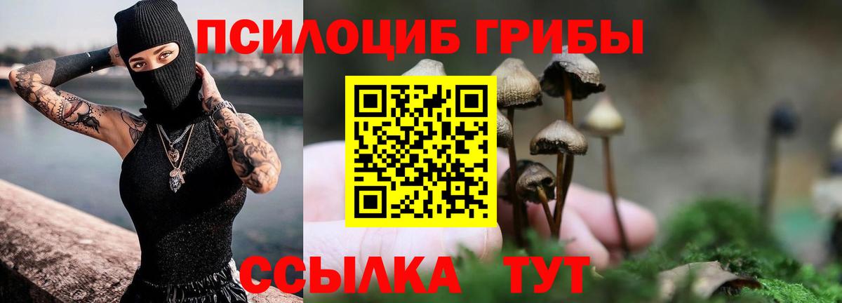 Галлюциногенные грибы мицелий Воркута